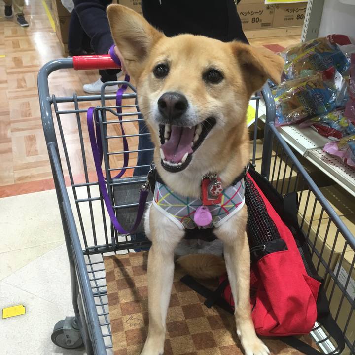 005a8058 8c69 4b57 b20c 1368be558099 1556458727112