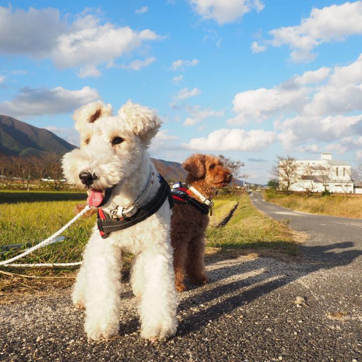 005aa065 cce9 4bab 9bab d355311afd47 1540740302482