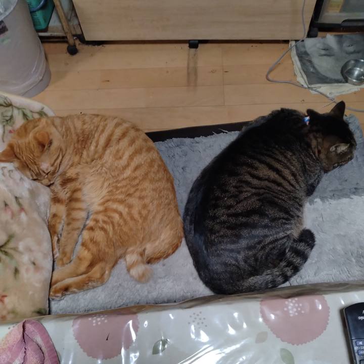 005aaeb7 ba7b 47d4 83cd c04e96969702 1673081714038