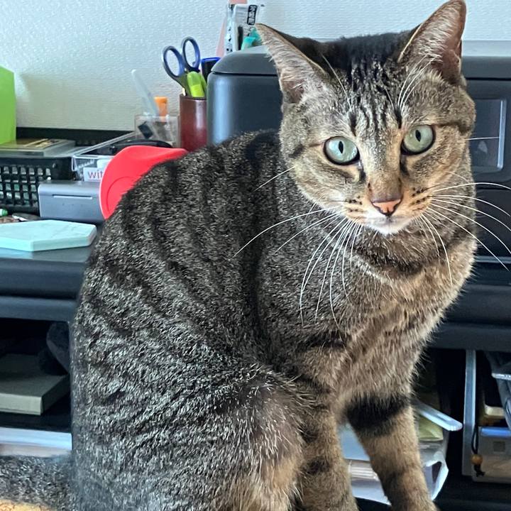 005afa4a 367b 4282 bf5a ce5140ad5ab8 1759963086825