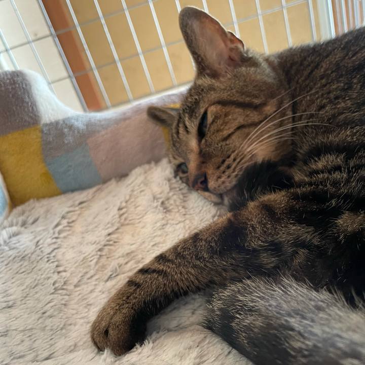 005b506d 810b 4a70 83ff a04614f2ec1d 1626832216702