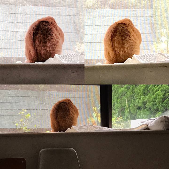 005b53e5 c849 414c 9def 18e1067c5ac2 1507689688235