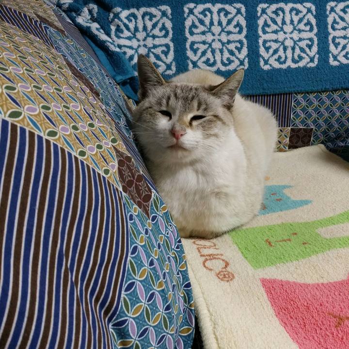 005b80ea c4b5 4c56 bc7c 79e9f0322a71 1515381111517