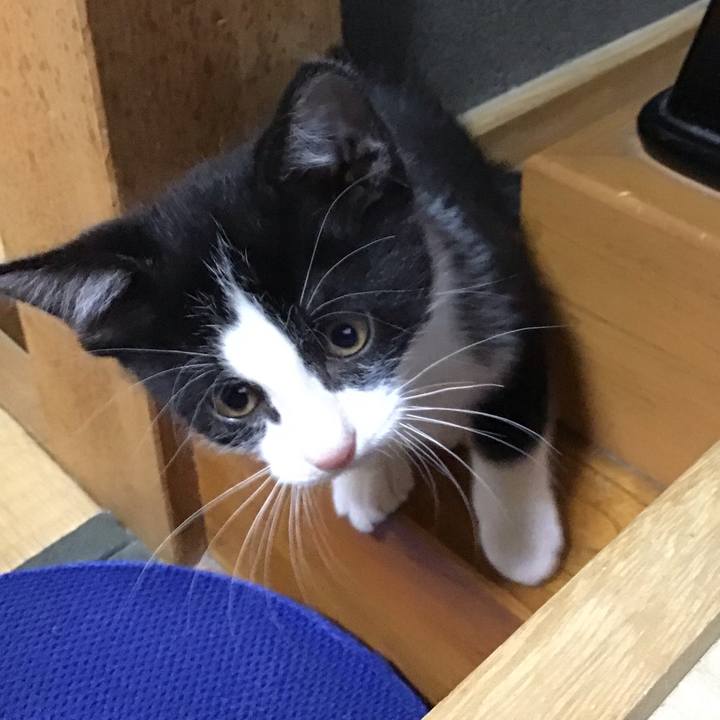 005baeb4 ed96 44ac b889 f230d64244c5 1624843239076