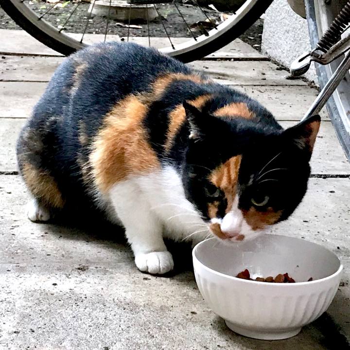 005bcd26 0320 42b6 9f23 d2d1bbcf126c 1539394237394