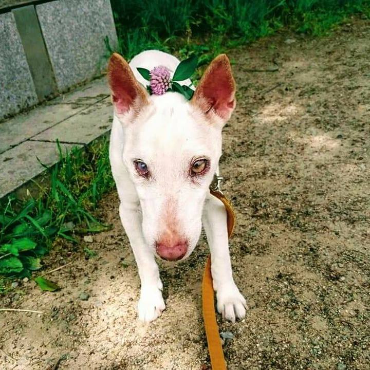 005c0104 529a 4307 9ca8 b19ca1329c3b 1620259049221