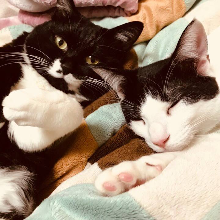 005c1612 e259 48af ba0f fa46c5060624 1512740496817