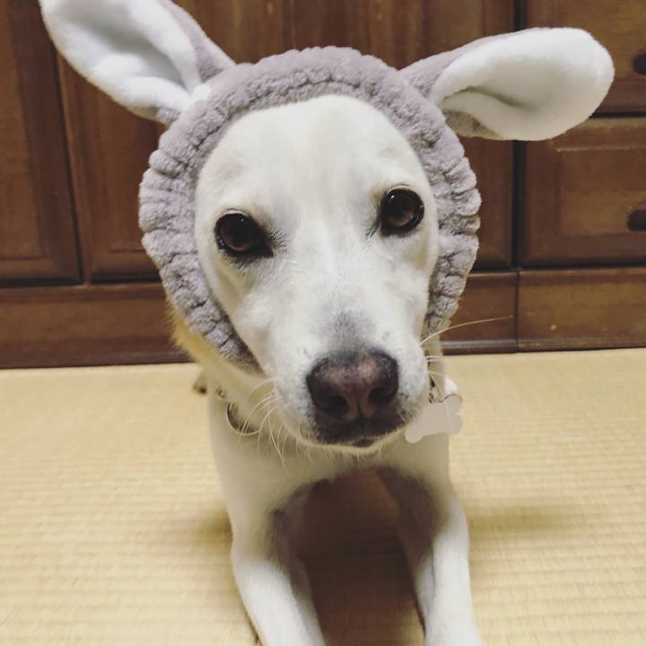 005c1885 d1ea 4fa2 b0c0 ab021f294185 1629096584821