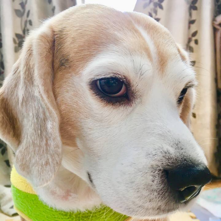 005c2477 047e 4602 a8d2 0c4caa144e57 1553661828592