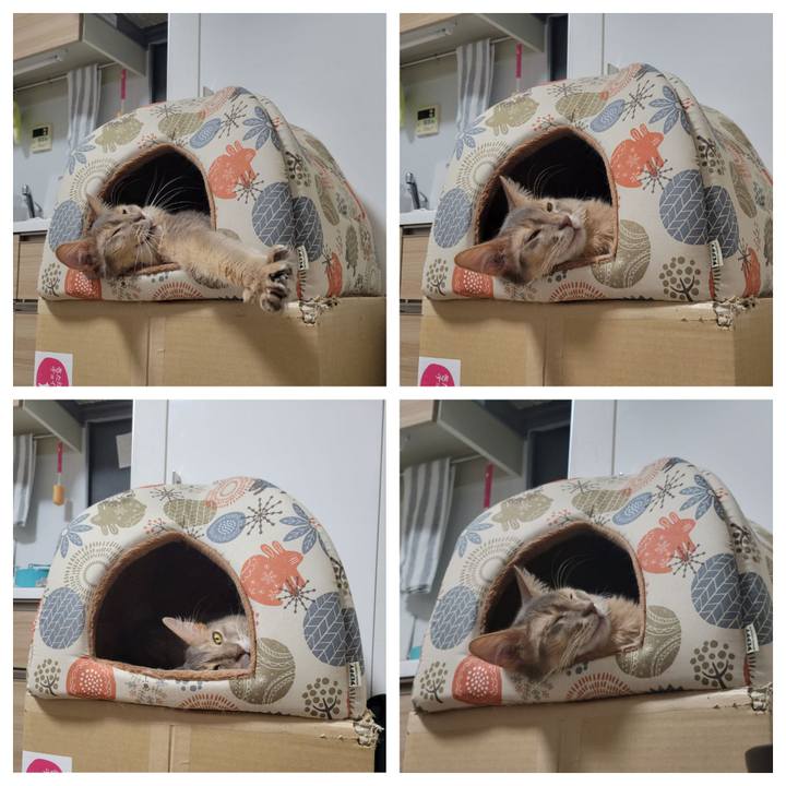 005c2f1a ee89 4ad8 b2c9 b43f1b8a0569 1645614802020