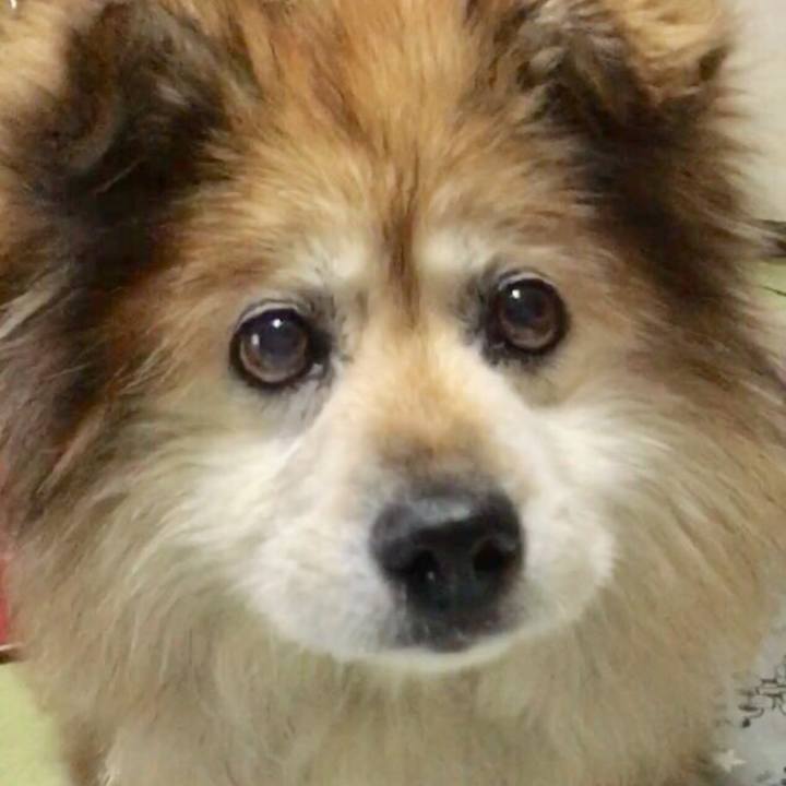 005c4348 247d 48be b2c2 b4f48ca873f8 1637047151446