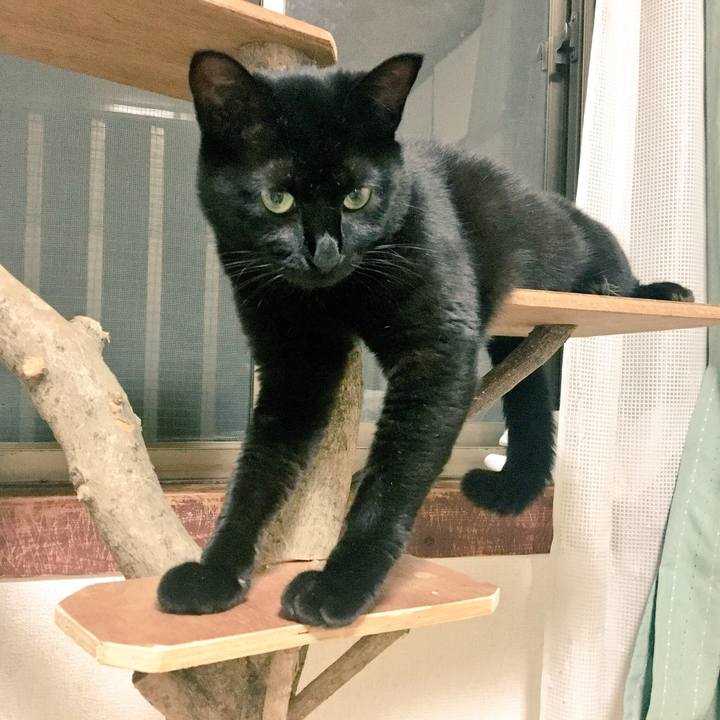 005c5aa8 91e3 4973 a394 6808a2f25d36 1530231222713