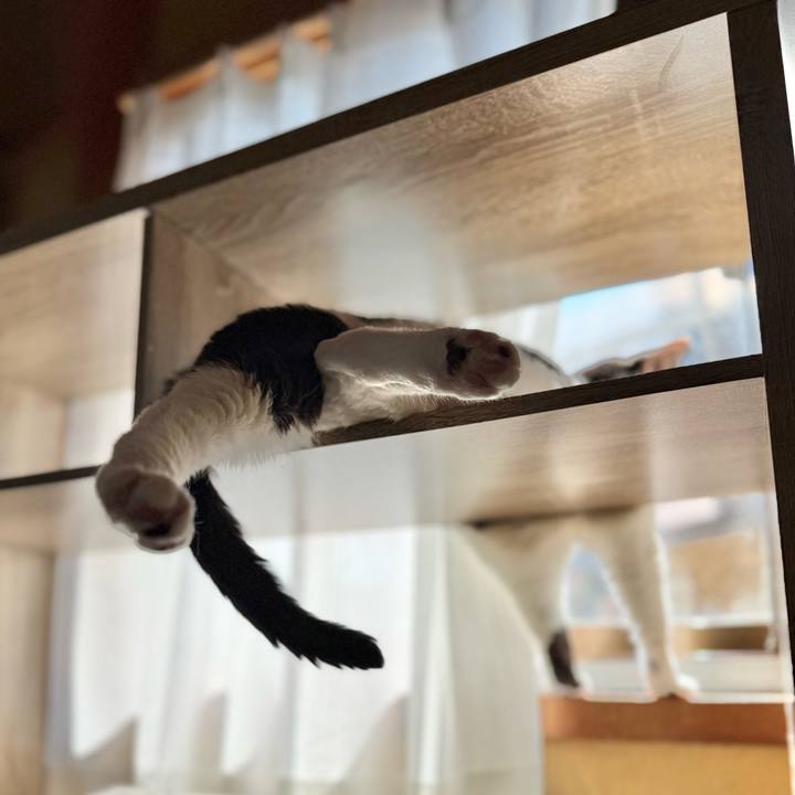 005c7819 2085 458f 956c 260a8f8087cd 1743044140758