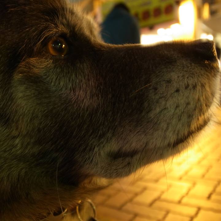 005caf0b 54db 4343 a764 1d8ff0124b2e 1585011621820