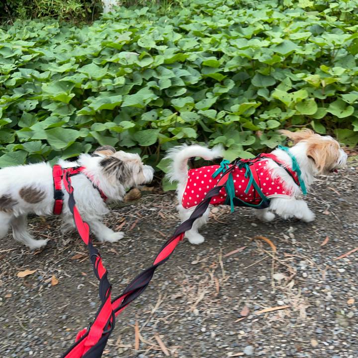 005cd492 6191 46d7 8d2d aa899fed337a 1759540683331