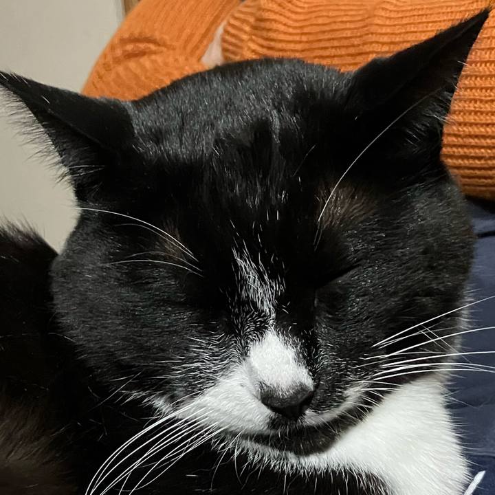 005ce410 a0b3 4810 82dd d93b895fec54 1754709382895