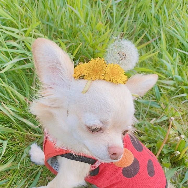 005d0455 ee7a 4977 b63e f296f887d0a8 1619598599115