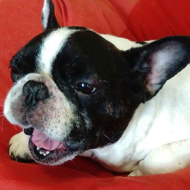 005d1247 2b18 41db bb1e 712651cae8d9 1535988477426