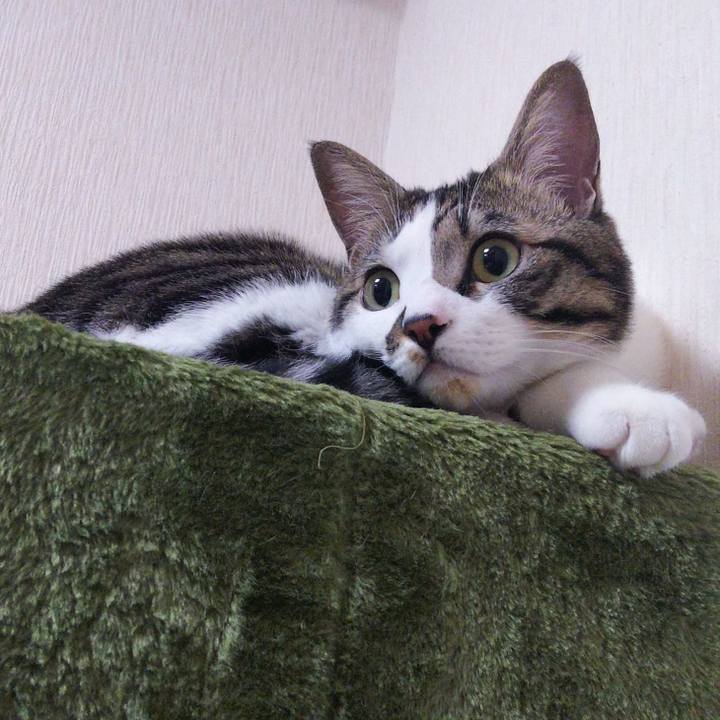 005d1953 129a 443b 9a1d 1d6afa1d0667 1638361407144