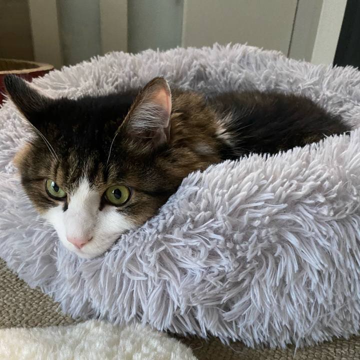 005d3e4f 905f 4ce6 a46e c9b2cb94ada4 1667255772708