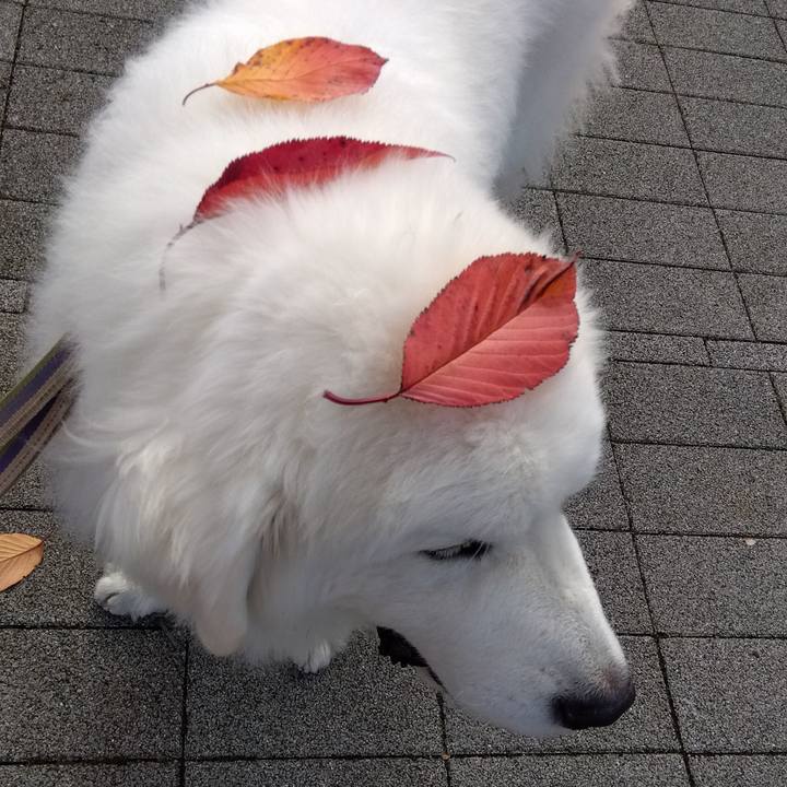 005da768 6478 4753 b73d 465b09b0ec3e 1670367670232