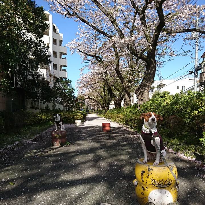 005db652 5708 451d b9a5 254fcf2b243a 1585784214200