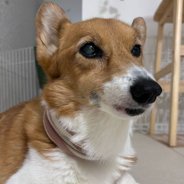 005db7f5 9c7a 41a0 95a2 c32c2421696f 1757326684954