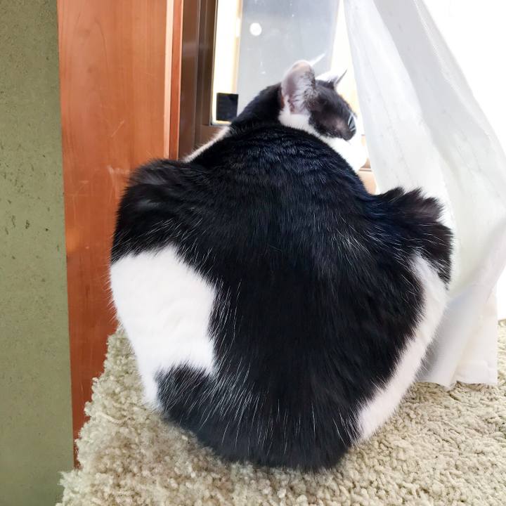 005dc66d 1940 404d 8eda 7a89f3782f45 1520950099257