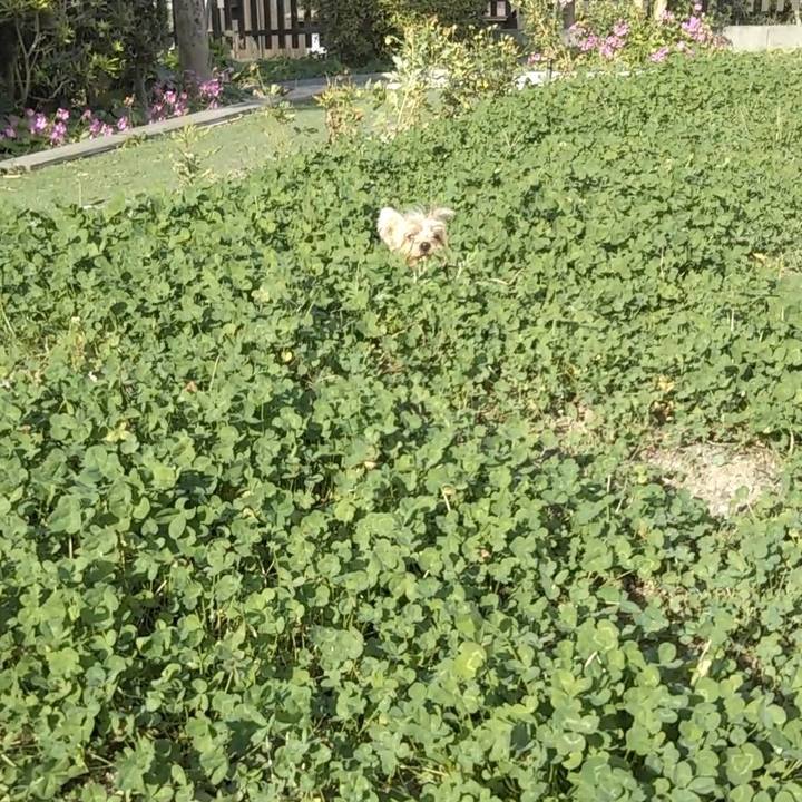 005dec00 209d 4c3a 8c82 f0ca0cbfec9b 1573958752375