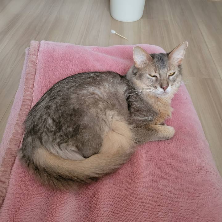 005e0a57 c246 42c6 b87b 03b944cca7f8 1654407712918