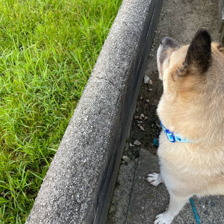 005e554b 757c 4c89 b483 ae232f9f3ed6 1695213236666