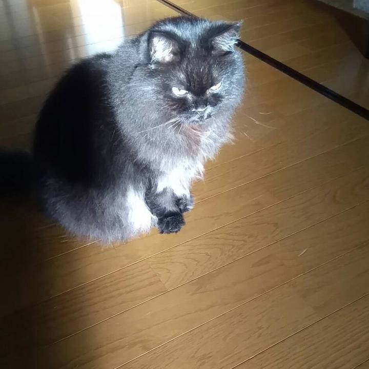 005e56ec e001 4197 bbdc ebde834be38a 1509062646372