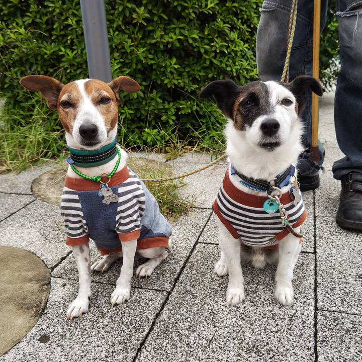 005e6e2a ee40 45cf 9e2f 8264494e1b1b 1727649417763