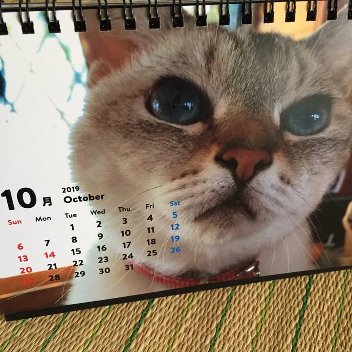 005e70ce 9510 4fed bb5a b6421be43e6f 1569879965434