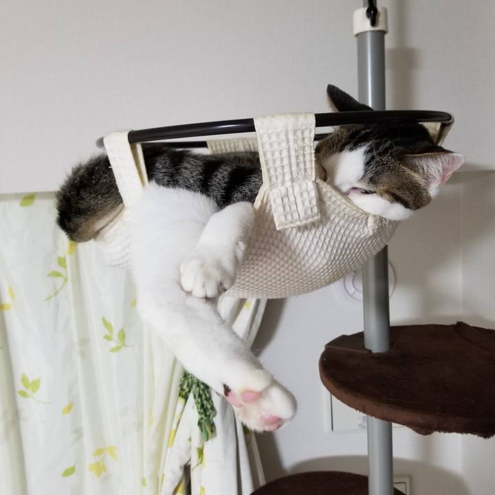 005ecb40 cc31 452f be77 bebac04af2f9 1599432635918