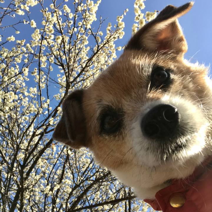 005ed6ac 5c94 42b9 81ee d8c1832edc31 1614412803448