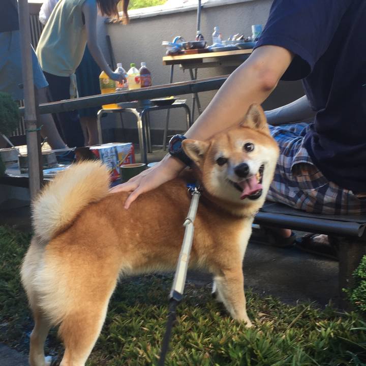 005f4f7f 661b 4cd9 8e34 317e1085820e 1535811470422