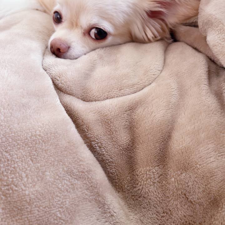 005f9dc4 fda8 4eb8 8ba8 14374f1aba66 1749685954346