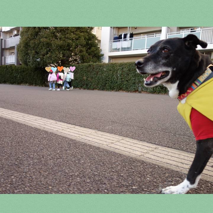 005fe80f 5123 4d9e 929b b03bab0ae6c2 1740012158676