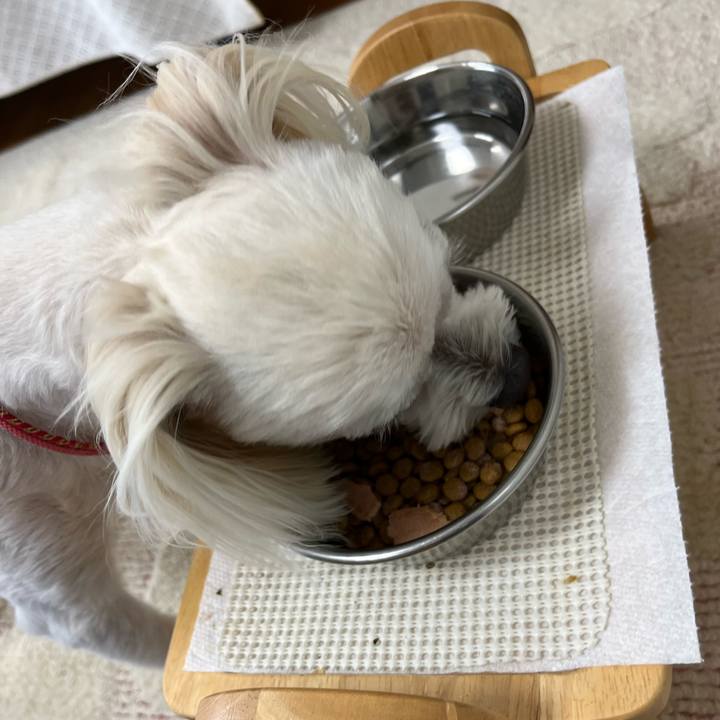 005fec40 4f49 49d1 95a5 e41edbaacb26 1693790393277