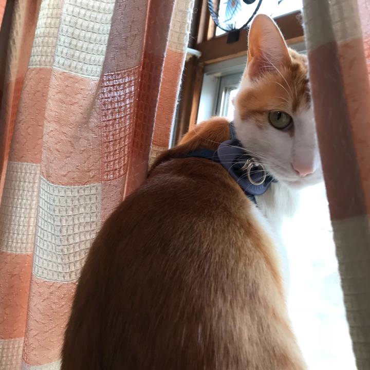 00604bcf 659f 4e14 a015 43907570dbb6 1515563056287