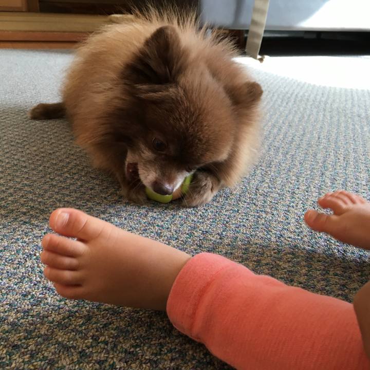 00606920 b93b 46e1 881e 959551fcdcc1 1511149259346