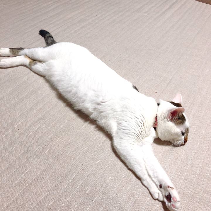 00607b41 d8d8 49c4 b40d d27ad5a2a51b 1523527166313