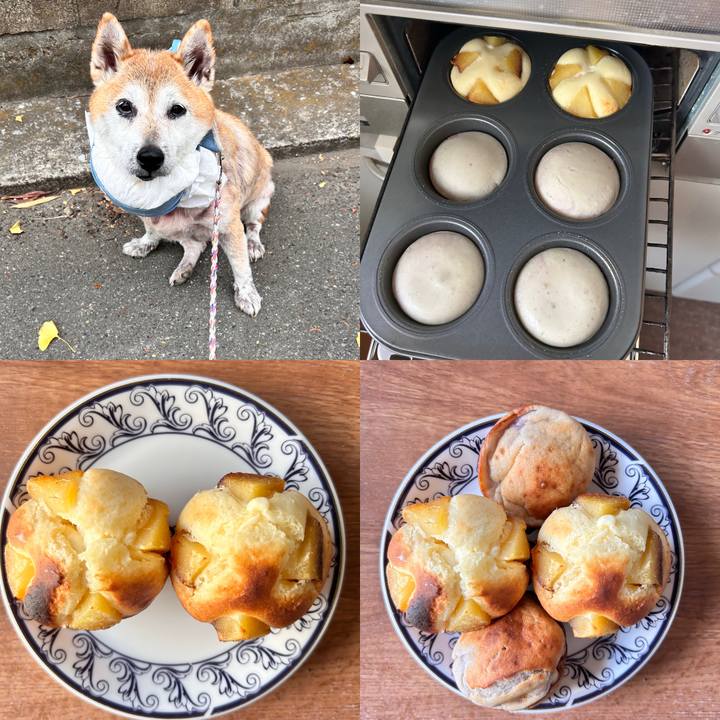 0060ab28 5ab3 4e5b 855e baffe3a0ff0c 1763969050296