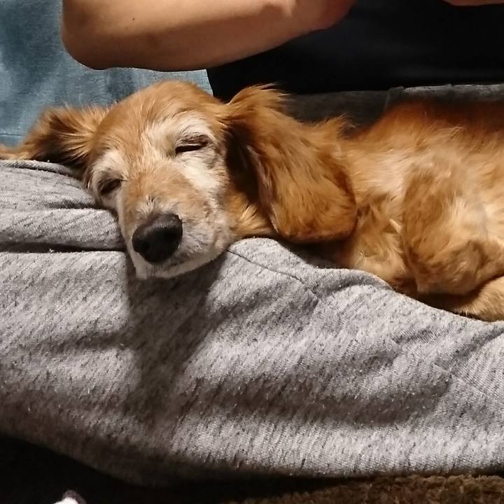 0060c49d db8d 411c b05b 0383426d5580 1518020951885