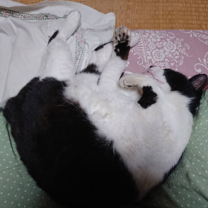 0060cb55 20e8 44fb 965b f4429df0bece 1622605577470