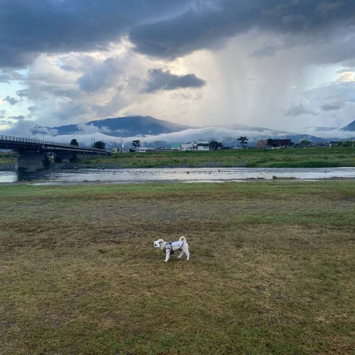 0060d37a 96db 4771 9835 b56226d34f60 1724580947575