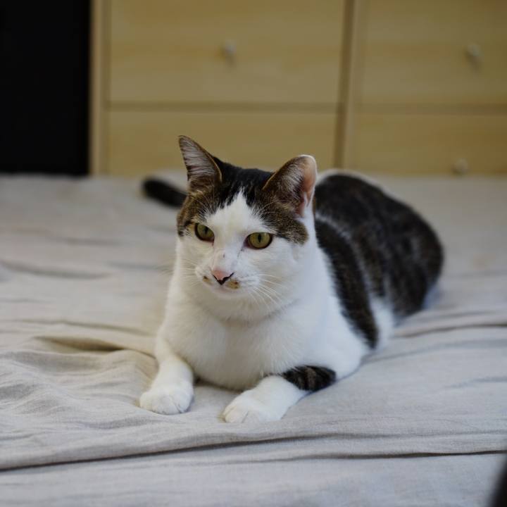 0060d7d9 9314 4a08 bde5 cd9109f81389 1554514647162