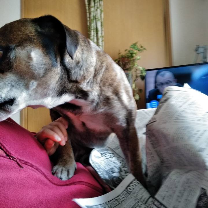 0060eacb 6c98 4d16 aa88 6f8bc8634f61 1521383049728