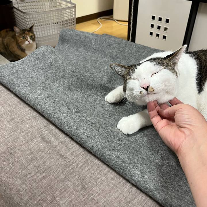 00613ddf a217 4c2d 9a8e ff1530407b6b 1692278295117